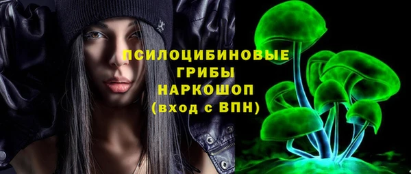 ГАЛЛЮЦИНОГЕННЫЕ ГРИБЫ Алексин