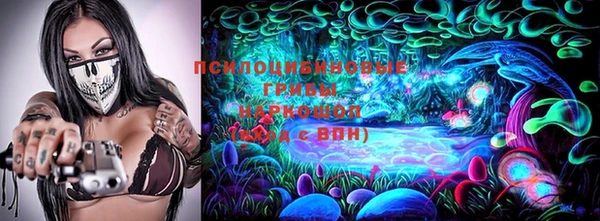 ГАЛЛЮЦИНОГЕННЫЕ ГРИБЫ Алексин