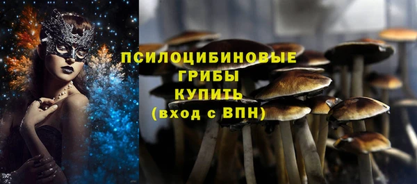 ГАЛЛЮЦИНОГЕННЫЕ ГРИБЫ Алексин
