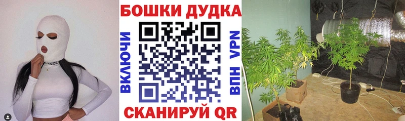 Канабис SATIVA & INDICA  Лобня 